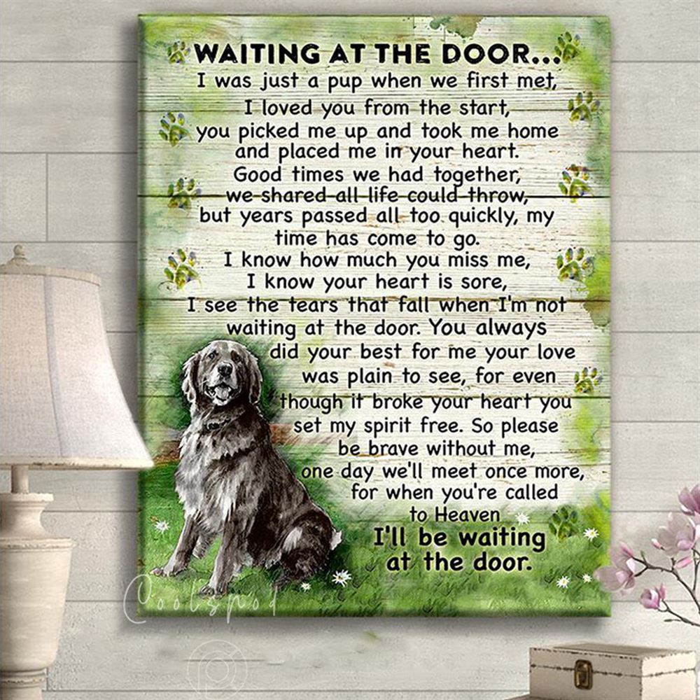 Canvas - Black Golden Retriever - Waiting At The Door