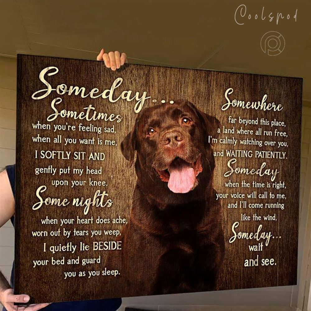 Canvas - Chocolate Labrador - Someday