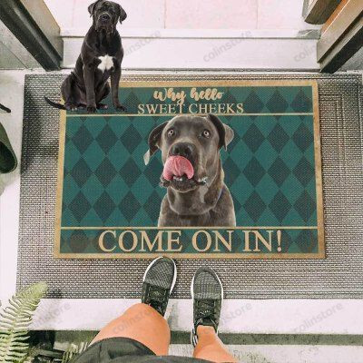 Cane Corso Dog Come On In Funny Outdoor Indoor Wellcome Doormat