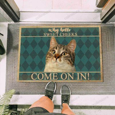 Cat Staring Funny Outdoor Indoor Wellcome Doormat