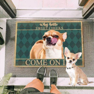 Chihuahua Dog Come On In Funny Outdoor Indoor Wellcome Doormat