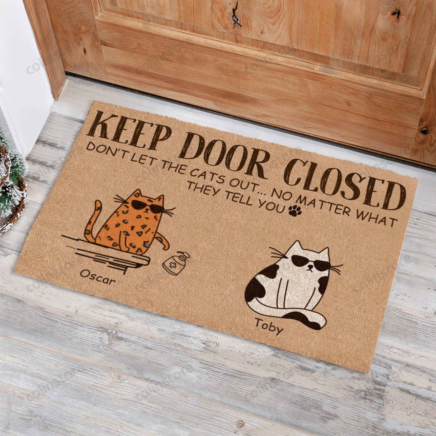 Cool Cat Dont Let The Cat Out Funny Outdoor Indoor Wellcome Doormat