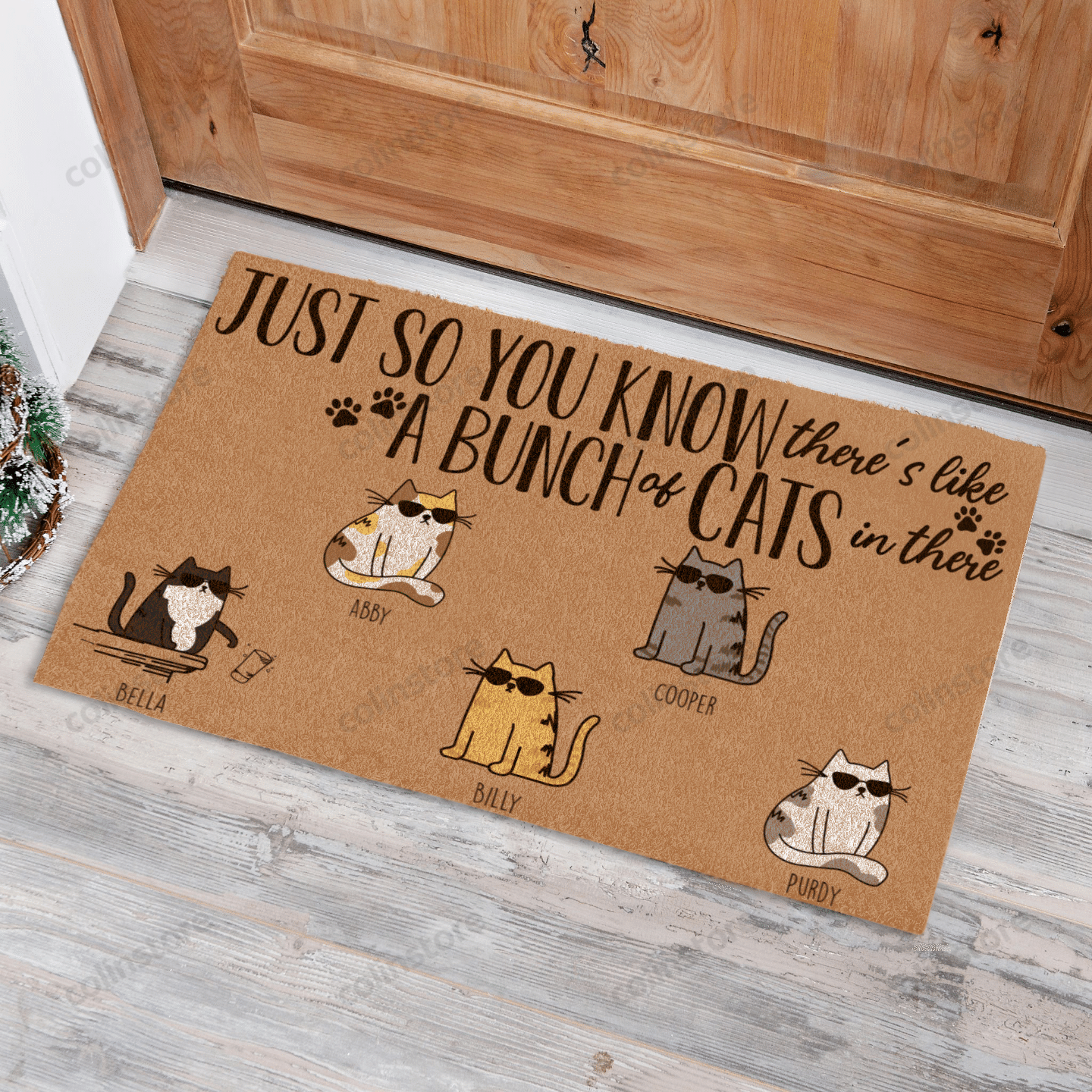 Cool Cat Just So You Know Theres Like A Bunch Of Cat In There Funny Outdoor Indoor Wellcome Doormat