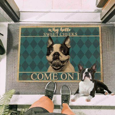 French Bull Dog Come On In Funny Outdoor Indoor Wellcome Doormat