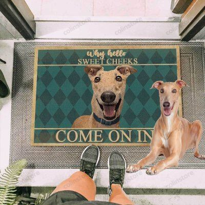 Greyhound Dog Come On In Funny Outdoor Indoor Wellcome Doormat
