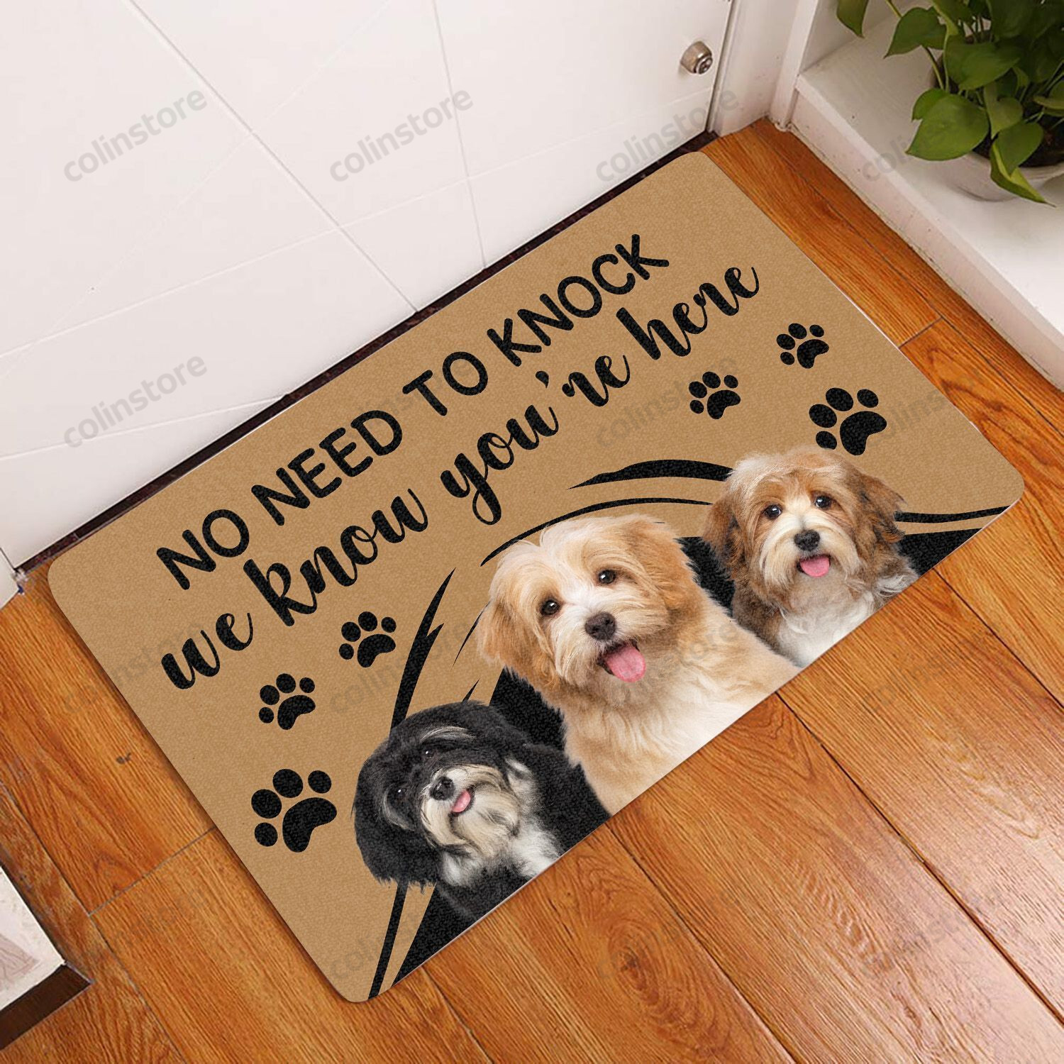 Havanese No Need To Knock - Dog Doormat Welcome Mat