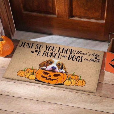 Just So You Know Beagle Dog Funny Outdoor Indoor Wellcome Doormat