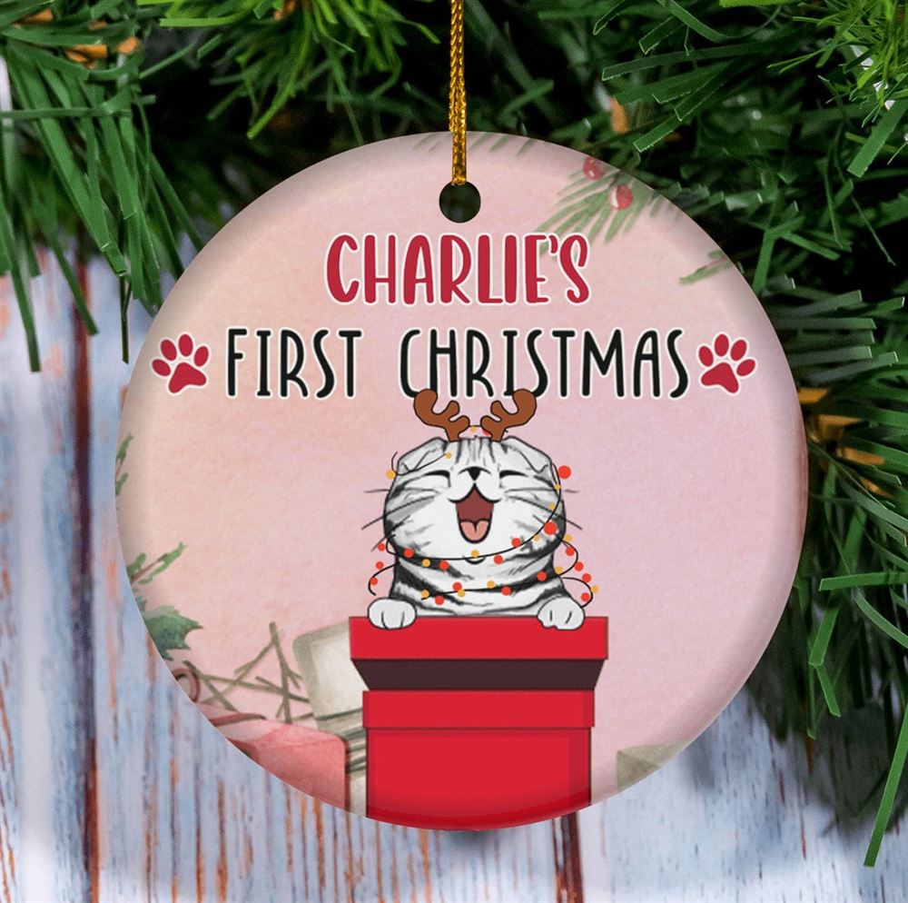 Cat 1st Christmas Christmas Gifts Circle Ceramic Ornament Personalized Cat Breed Ornament Xmas Gifts For Cat Lovers
