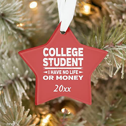 College Student No Life Or Money Ornaments