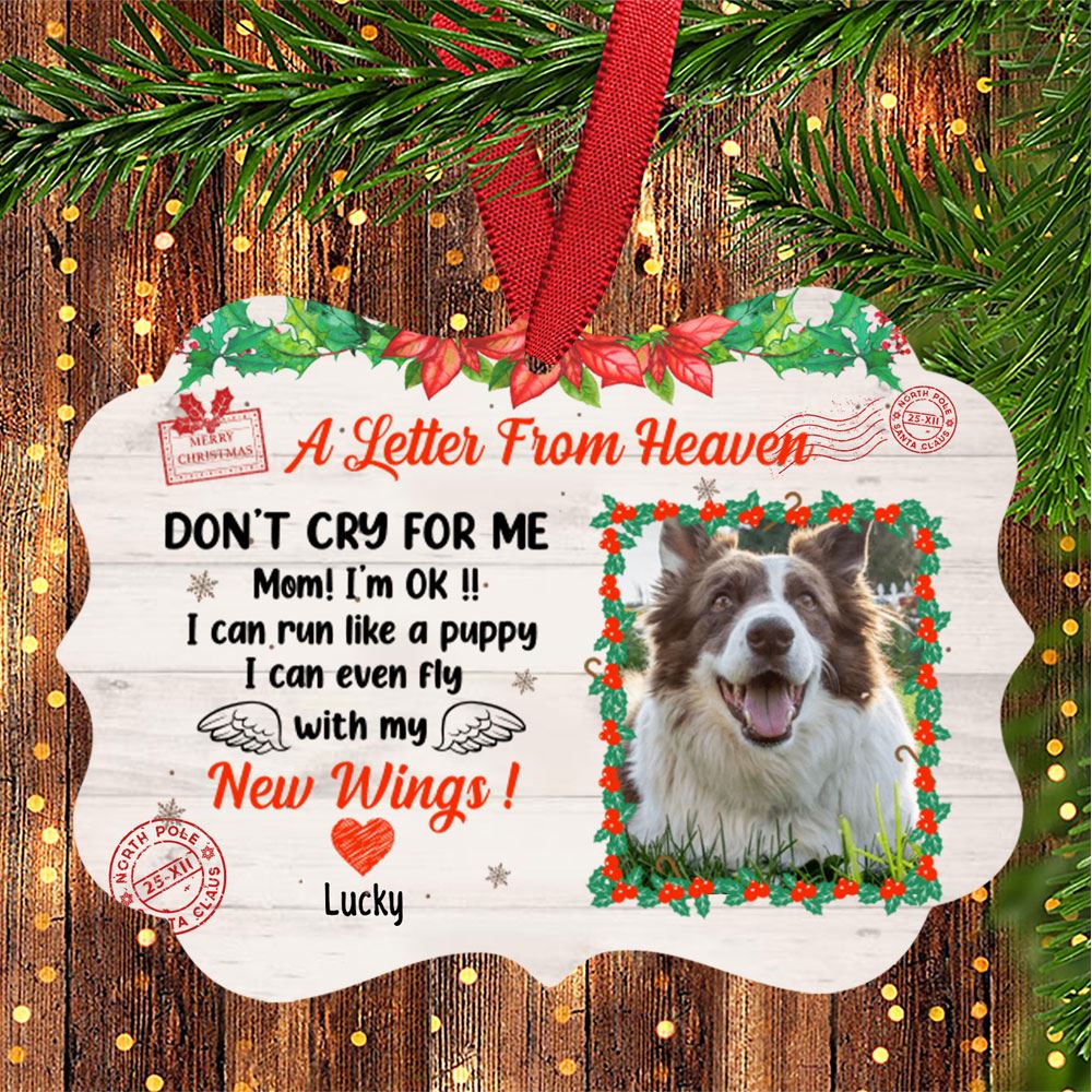 Personalized A Letter From Heaven Dont Cry For Me Aluminum Ornament Memorial Gift For Dog Lovers