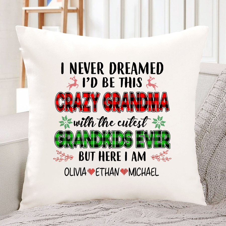 Funny Pillow For Grandma I Never Dreamed Id Be This Crazy Grandma With The Cutest Grandkids Ever Pi