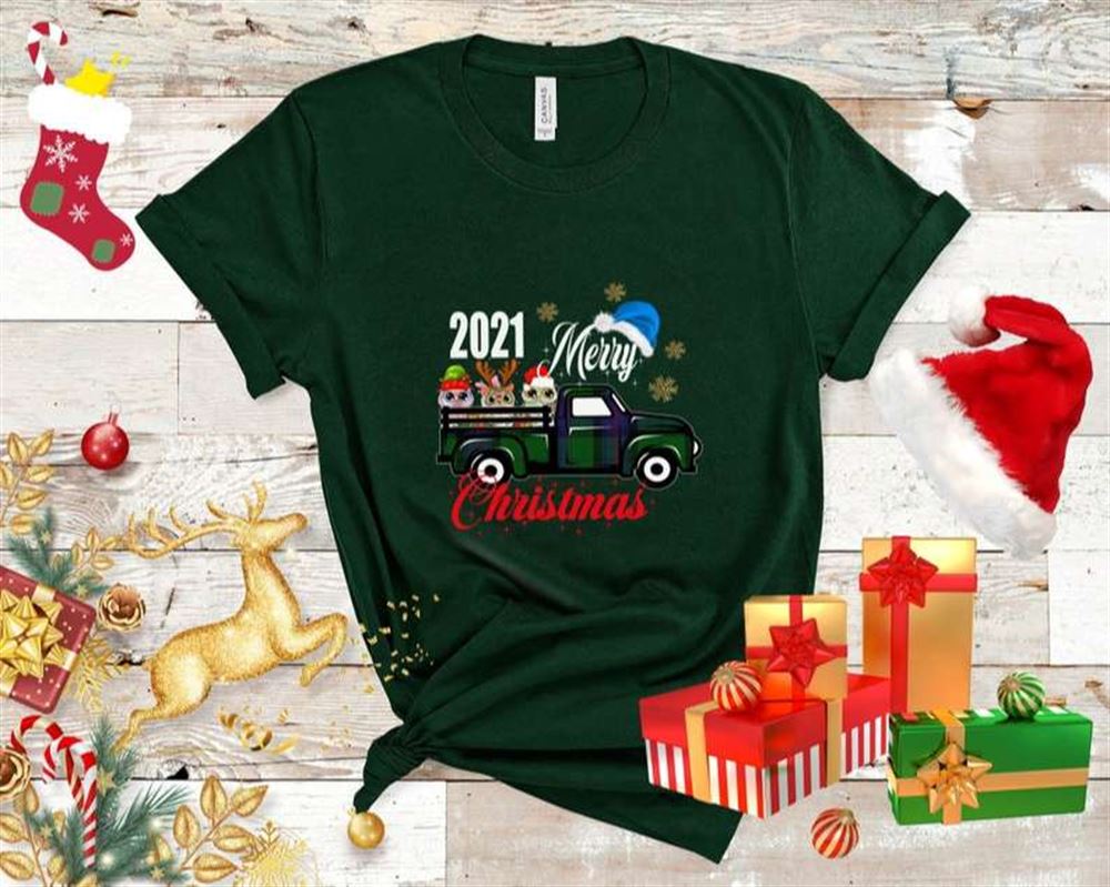 Christmas 2021 Pajamas Owl Merry Christmas Tee Owl Family Holiday Pjs Gifts Unisex T-shirt