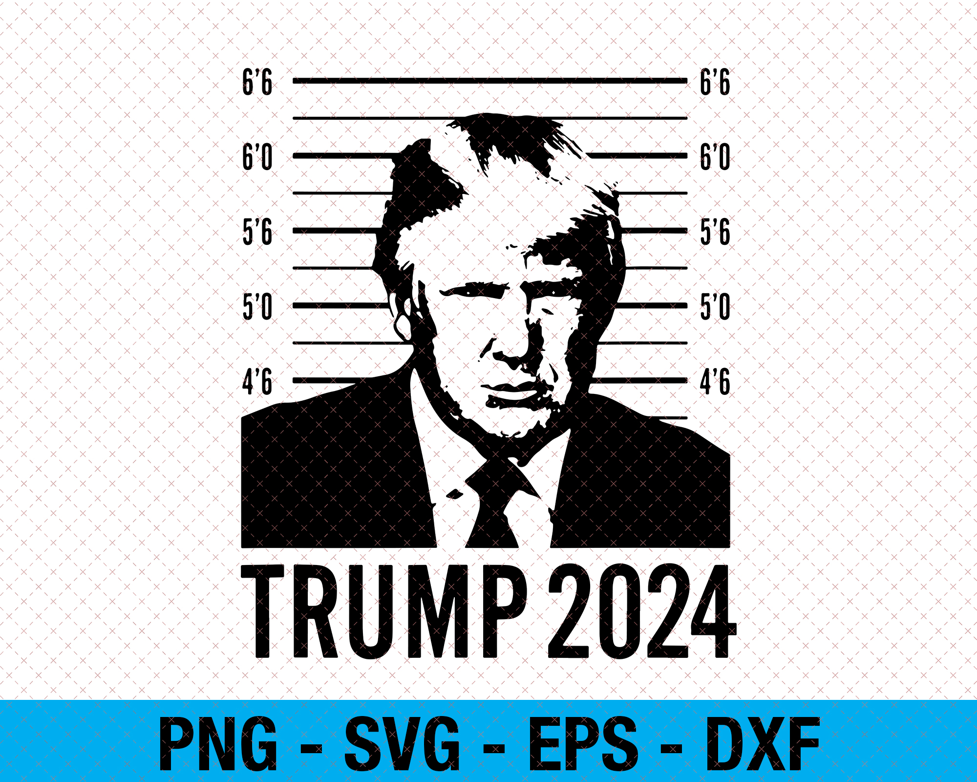 Trump Mugshot 2024 President