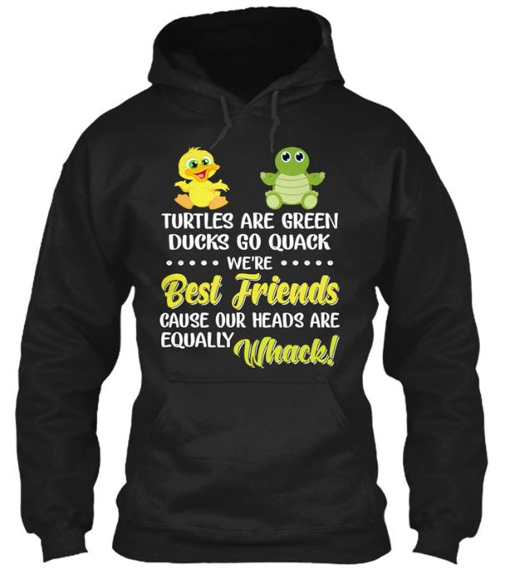 Turtles Are Green Ducks Go Quack Classic Pullover Hoodie